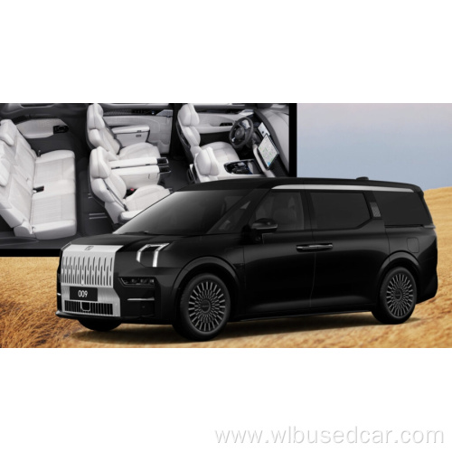 Geely ZEEKR 009 New Energy Vehicle 2.0TD